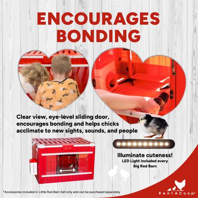 Show full view: RentACoop Red Barn Folding Chick Brooder Set, Small slide 5 of 12