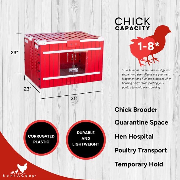 RENTACOOP Little Red Barn Folding Chick Brooder All-in-One Set, Small ...