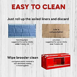 RentACoop Little Red Barn Folding Chick Brooder, Large