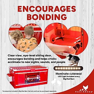 RentACoop Little Red Barn Folding Chick Brooder, Large