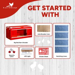 RentACoop Red Barn Chick Brooder, Large slide 2 of 8