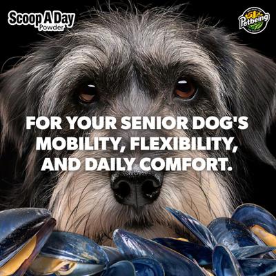 Show full view: PetBeing Scoop-A-Day Mobility, Muscle & Joint Support Powder Supplement for Senior Dogs, 4.2-oz bottle slide 8 of 10