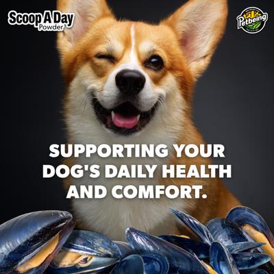 Show full view: PetBeing Scoop-A-Day Mobility, Muscle & Joint Support Powder Supplement for Dogs, 3.5-oz bottle slide 8 of 9
