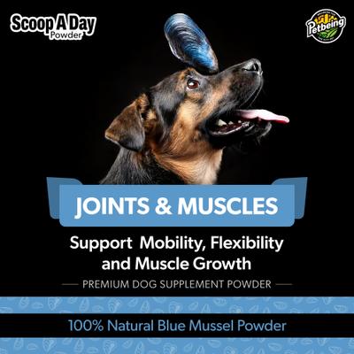 Show full view: PetBeing Scoop-A-Day Mobility, Muscle & Joint Support Powder Supplement for Dogs, 3.5-oz bottle slide 4 of 9