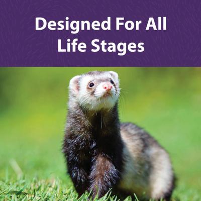 Show full view: Mazuri Ferret Food, 5-lb bag slide 7 of 10