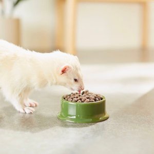Mazuri Ferret Food, 5-lb bag