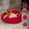 Show in main carousel: Elle Heart-Shaped Orthopedic Dog & Cat Bed, Red slide 7 of 7