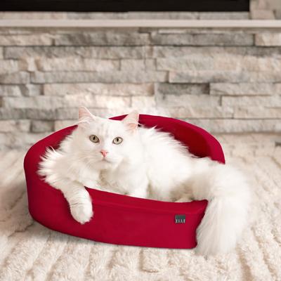 Show full view: Elle Heart-Shaped Orthopedic Dog & Cat Bed, Red slide 4 of 7