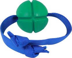 PetKORE FloTek Tough Tug Dog Toy, Green, Medium