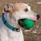Show in main carousel: PetKORE FloTek Tough Ball Dog Toy, Green, Medium slide 7 of 11