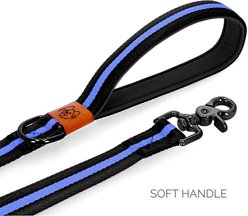 JEJOU DOG Neon Blue Stripes Walk Set Dog Collar & Leash, Neon Blue, Medium slide 2 of 6