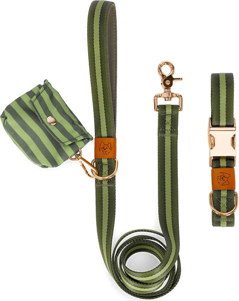 JEJOU DOG Green Stripes Walk Set Dog Collar & Leash, Green