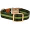 Show in main carousel: JEJOU DOG Green Stripes Walk Set Dog Collar & Leash, Green, Small slide 3 of 7
