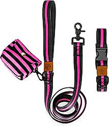 JEJOU DOG Neon Pink Stripes Walk Set Dog Collar & Leash, Neon Pink, Medium