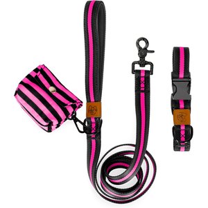 JEJOU DOG Neon Pink Stripes Walk Set Dog Collar & Leash, Neon Pink