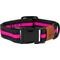 Show in main carousel: JEJOU DOG Neon Pink Stripes Walk Set Dog Collar & Leash, Neon Pink, Medium slide 2 of 6
