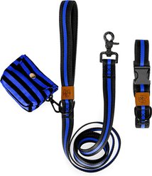 JEJOU DOG Neon Blue Stripes Walk Set Dog Collar & Leash, Neon Blue, Small