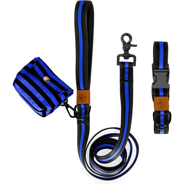 JEJOU DOG Neon Blue Stripes Walk Set Dog Collar & Leash, Neon Blue