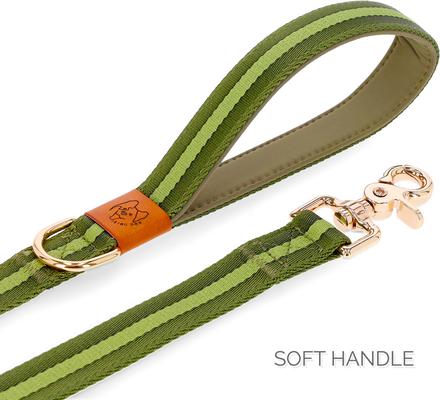 Show full view: JEJOU DOG Green Stripes Walk Set Dog Collar & Leash, Green, Small slide 4 of 7