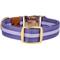 Show in main carousel: JEJOU DOG Purple Stripes Walk Set Dog Collar & Leash, Purple, Small slide 3 of 6
