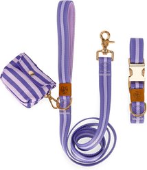 JEJOU DOG Purple Stripes Walk Set Dog Collar & Leash, Purple, Medium
