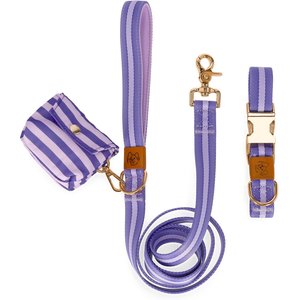 JEJOU DOG Purple Stripes Walk Set Dog Collar & Leash, Purple