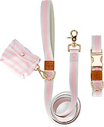 JEJOU DOG Pink Stripes Walk Set Dog Collar & Leash, Pink, Small