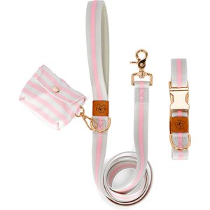 JEJOU DOG Pink Stripes Walk Set Dog Collar & Leash, Pink