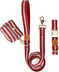 JEJOU DOG Burgundy Stripes Walk Set Dog Collar & Leash, Burgundy, Small