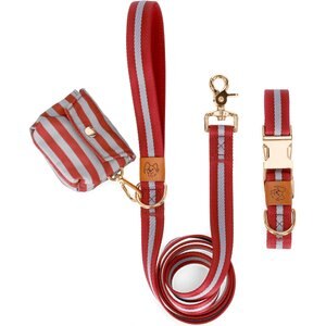 JEJOU DOG Burgundy Stripes Walk Set