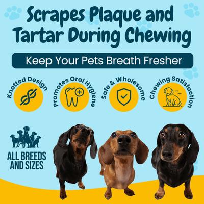 Show full view: HOTSPOT PETS 8 to 9-in Knotted Bones Rawhide Dog Treats, 6 count slide 7 of 10