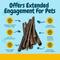 Show in main carousel: HOTSPOT PETS 12-in Beef Gullet Sticks Dog Treats, 50 count slide 6 of 10