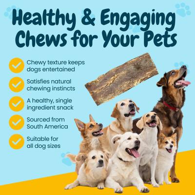 Show full view: HOTSPOT PETS 6-in Flat Beef Gullet Dog Treats, 24 count slide 7 of 8