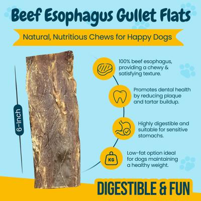 Show full view: HOTSPOT PETS 6-in Flat Beef Gullet Dog Treats, 24 count slide 4 of 8
