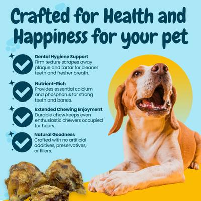 Show full view: HOTSPOT PETS Meaty Beef Knee Cap Bones Dog Chew Treats, Large, 12 count slide 6 of 9