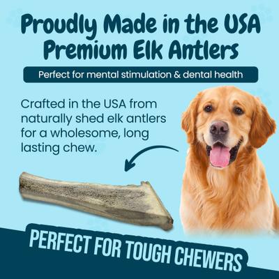 Show full view: HOTSPOT PETS 8 to 9-in Split Elk Antlers Dog Treats, X-Large, 2 count slide 7 of 8