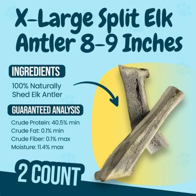 Show full view: HOTSPOT PETS 8 to 9-in Split Elk Antlers Dog Treats, X-Large, 2 count slide 5 of 8