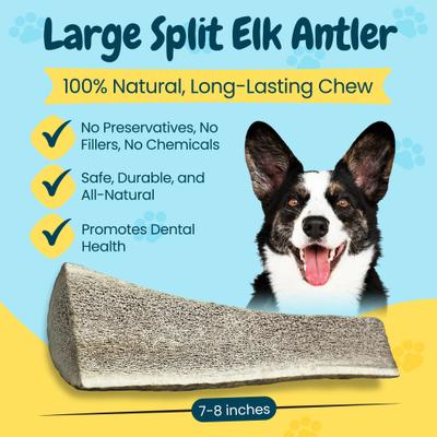 Show full view: HOTSPOT PETS 7 to 8-in Split Elk Antlers Dog Treats, Large, 1 count slide 4 of 8