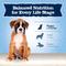 Show in main carousel: Blue Buffalo Baby Blue Healthy Growth Formula Natural Chicken & Brown Rice Recipe Puppy Dry Food, 4-lb bag slide 9 of 11