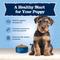 Show in main carousel: Blue Buffalo Baby Blue Healthy Growth Formula Natural Chicken & Brown Rice Recipe Puppy Dry Food, 4-lb bag slide 5 of 11