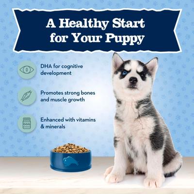 Show full view: Blue Buffalo High Protein Puppy Chicken Dry Dog Food, 20-lb bag slide 5 of 11