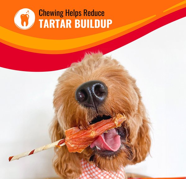 Good 'n' Fun Triple Flavor Chews Beef, Pork & Chicken Twists Dog Chews