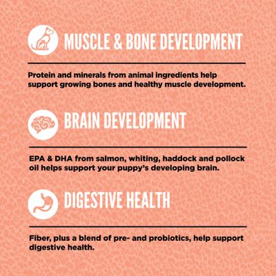 Show full view: ORIJEN Grain-Free High-Protein Small Breed Puppy Dry Dog Food, 4-lb bag slide 5 of 11