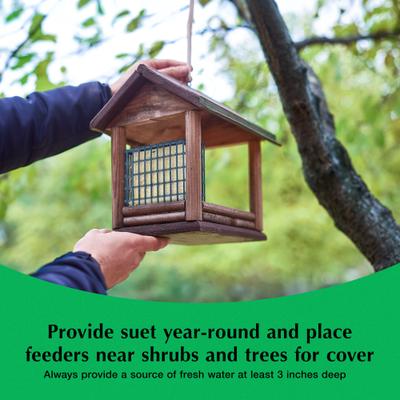 Show full view: C&S Wild Bird Nugget Bird Feeder, 11.25-in slide 9 of 13