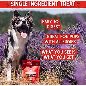 Stella & Chewy's Chicken Hearts Freeze-Dried Raw Dog Treats, 11.5-oz bag