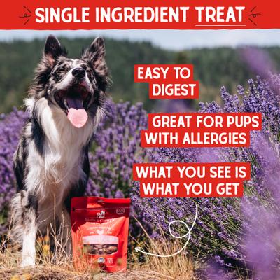 Show full view: Stella & Chewy's Chicken Hearts Freeze-Dried Raw Dog Treats, 11.5-oz bag slide 3 of 12