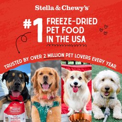 Stella & Chewy's Tantalizing Turkey Meal Mixers Freeze-Dried Raw Dog Food Topper, 1-oz bag slide 2 of 9