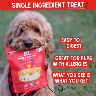 Show full view: Stella & Chewy's Chicken Breast Freeze-Dried Raw Dog Treats, 2.75-oz bag slide 3 of 12