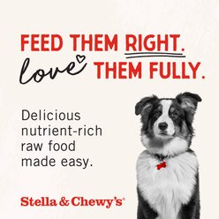 Stella & Chewy's Raw Coated Wholesome Grain Cage-Free Chicken Recipe Dry Dog Food, 22-lb bag slide 2 of 9
