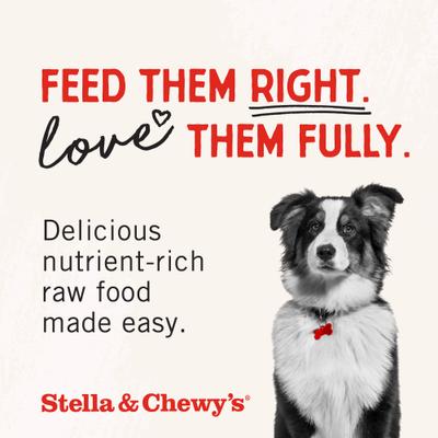 Show full view: Stella & Chewy's Raw Coated Cage-Free Chicken Recipe Grain-Free Dry Dog Food, 3.5-lb bag slide 8 of 11